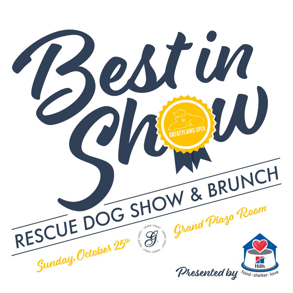 Best In Show Rescue Dog Show and Brunch KC Parent Magazine